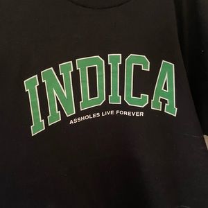 Indica university ALF